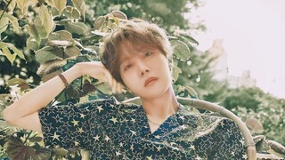 Selebritis | Cuplikan Panggung Jung Hoseok