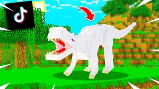ลองเล่นตาม TikTok สุดเทพ!!ทำสิ่งที่น้อยคนจะรู้ในมายคราฟ..(!!Minecraft TikTok)