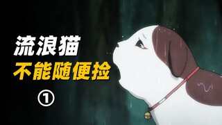 Don't pick up stray cats casually, they may be monsters that suck your energy! "GeGeGe no Kitaro" re