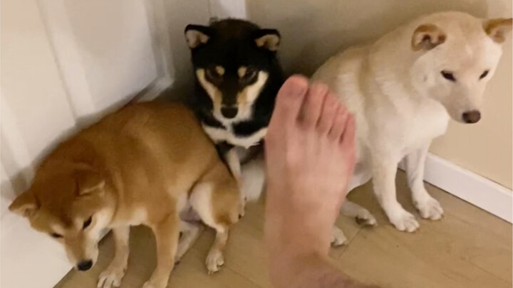 Heaven knows how long I’ve been sleeping under this wild-ass comforter!!