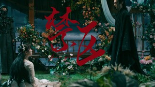 【苍兰诀】“阿嫂，如果兄尊不在了…”|巽风×小兰花|纯脑洞产物