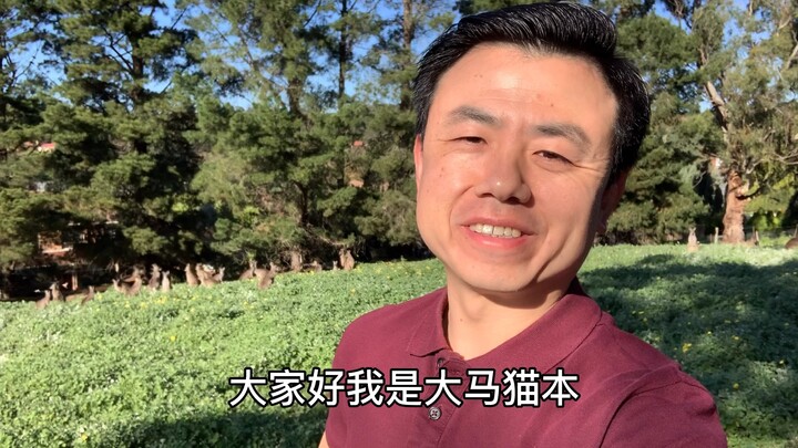 【ไลฟ์สไตล์วิดีโอ】แฟนคนแรกของ “ต้าหม่าเหมาเปิ่น”