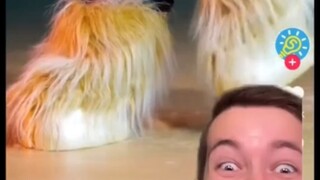最后一个