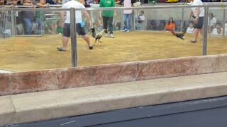 Flagrant Hiraw ✅Win @NCCA