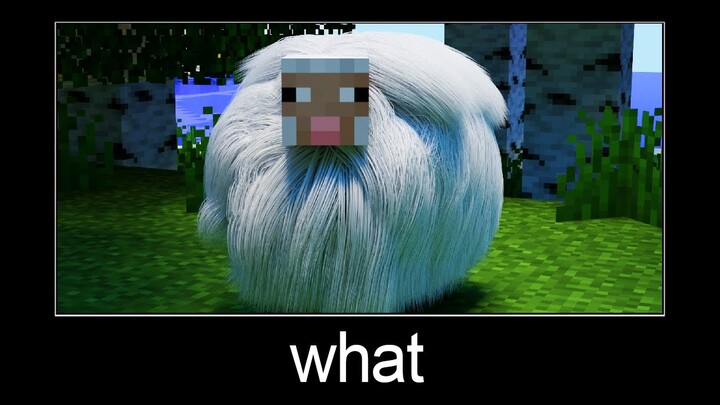 Minecraft wait what meme part 166 (realistic sheep)