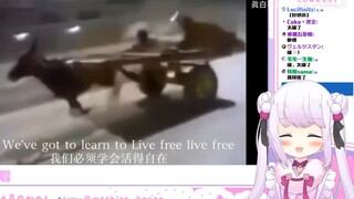 日本萝莉看人类迷惑时刻