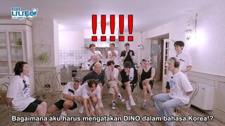 NANA TOUR with SEVENTEEN WEVERSE VER EP. 3-1 (SUB INDO)