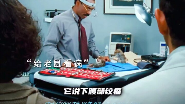 Being able to chat with animals at will—this skill is seriously awesome!