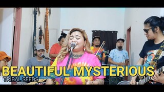 Beautiful Mysterious - Tribal Seeds | Kuerdas Cover