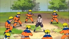 Naruto vs Neji