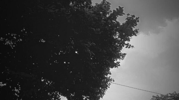 Today Sialkot weather ❤️#weather