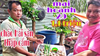 Chảo Hải sản thập cẩm quá ngon và cây mai tàng hoành 29 giá 1,1 triệu lTâm Chè Vĩnh Long