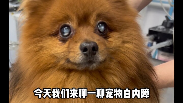 What a wonderful feeling to see the light again after cataract surgery!