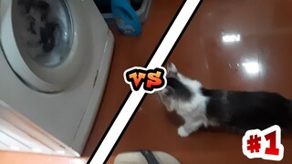 Kucing VS Mesin Cuci BarBar cuy