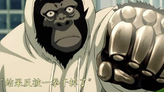 到处搞破坏的元帅猩猩遇到进化之家同僚格局之猩，结果被一拳干趴！