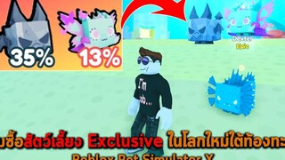 ผมซื้อสัตว์เลี้ยง Exclusive ในโลกใหม่ใต้ท้องทะเล Roblox Pet Simulator X