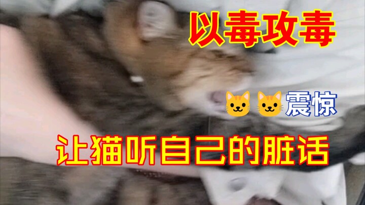 Dĩ độc trị độc😅 Khi cho mèo nghe bản ghi âm tiếng kêu “u oa u oa” của chính nó… cả cuộc đời mèo như 