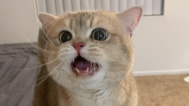 เหมือนตอนที่คุณทะเลาะกันอยู่ดีๆ แล้วกลับลืมไปเลยว่าตัวเองโกรธเพราะอะไรใช่ไหมล่ะ🤣