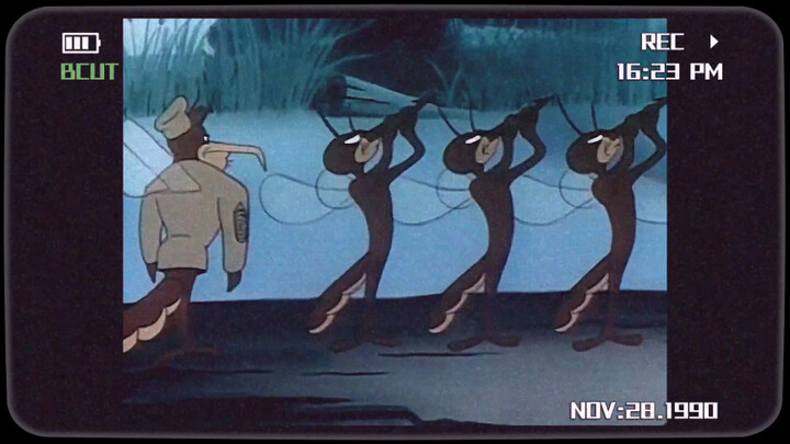 "Mosquito training inspirational large-scale documentary"