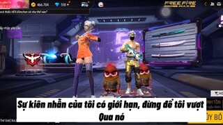 mèo quay trở về nhà rồi đây