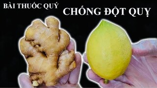 CHANH GỪNG MẬT ONG - Bài thuốc quý LÀM SẠCH PHỔI - HO KHAN - HO ĐỜM - chống ĐỘT QUỴ