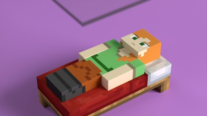 What kind of blanket would you sleep under?