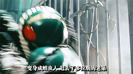 最真实的骑士世界