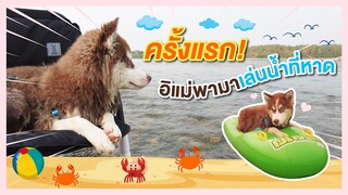 อิแม่พาไปเล่นน้ำที่หาดตื่นเต้นมาก - ข้าวนึ่ง & เดอะแก๊ง