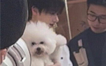 To become Wen Junhui’s puppy, you probably only need these few steps—come on in and learn!