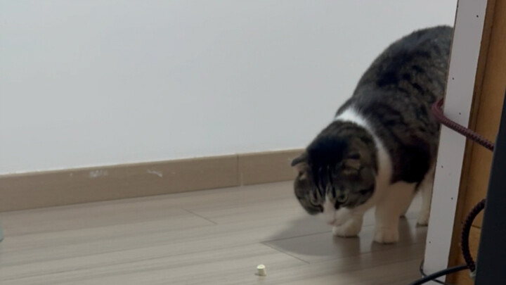 Sucking trap!