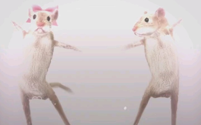 รีบแท็กเจ้าลูกรักของคุณมาเต้นกันเลย!