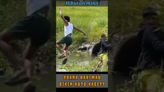 Hiburan minit#prank harimau