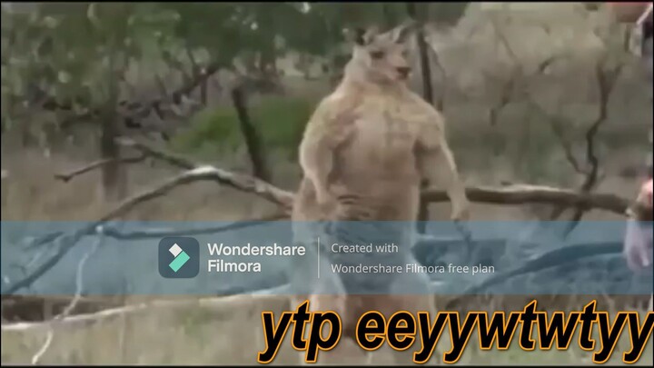 NANI! Meme Compilation [Part 6]