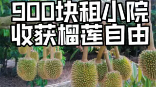 这种事真的不是我做的
