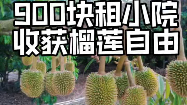 这种事真的不是我做的