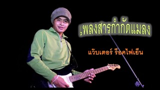 เพลงสารกำจัดแมลง (เวอตาโก)