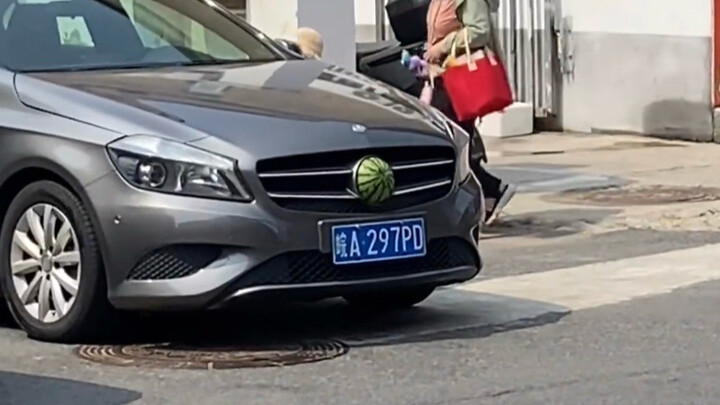 The car owner must be such a cute person!