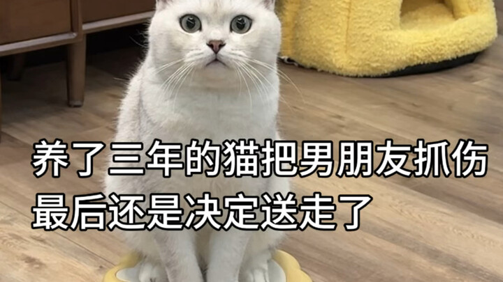 Maaf, pada akhirnya tetap memutuskan untuk melepasnya.