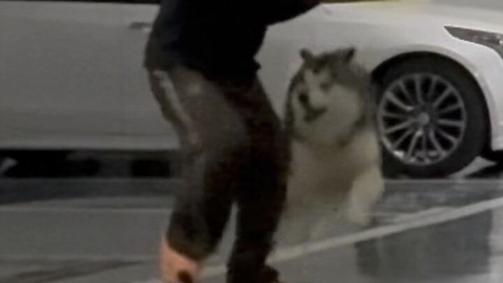 有些人一点自知之明也没有！