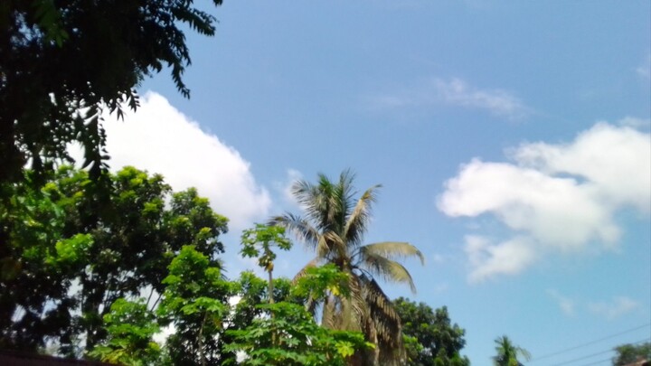 ধৈর্য মহৎকর্ম