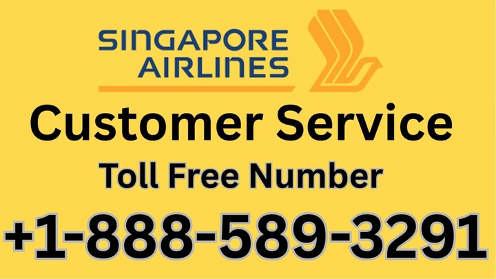 Talk to Someone™ At Spirit Airline𝖘® USA Through Contact® Numbers The Detailed Guide Available 24*7