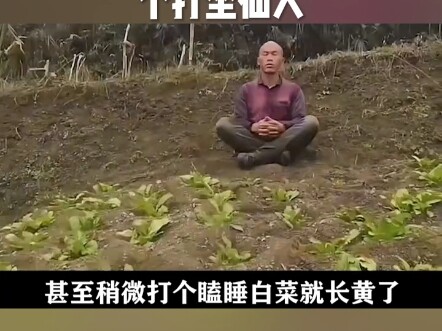 Biksu Meditasi: Setiap hari meditasi seperti absen, bahkan telah mengumpulkan materi selama 3 tahun,