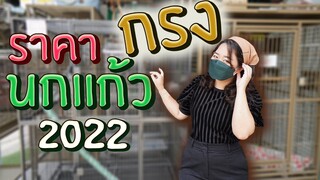 ราคากรงนกแก้ว จตุจักร 2022 EP.241