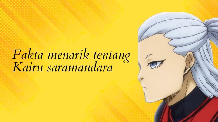 Fakta Menarik Dari Kairu Saramandara