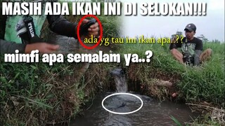 DAPET IKAN TERMAHAL DI DUNIA|ikan apa ini anjay