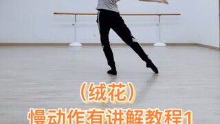 Khiêu vũ｜(Hoa nhung) Hướng dẫn chậm rãi múa cổ điển dành cho người mới bắt đầu 1