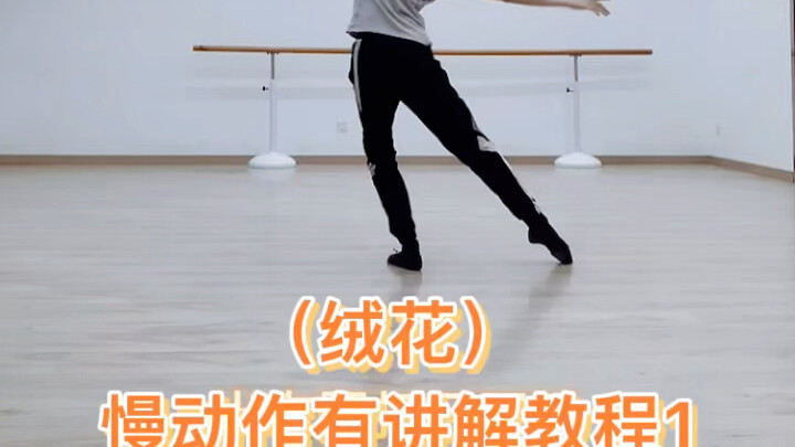 Dance | (Velvet Flowers) Classical Dance for Beginners: Slow-Motion Tutorial 1