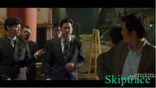 Skiptrace (2016)