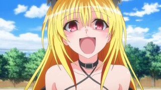 Việc được một cô gái yandere thích sẽ có tác động gì đến "nhóm hậu cung" của bạn?