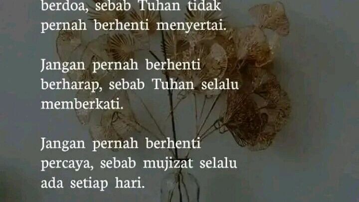 kata bijak